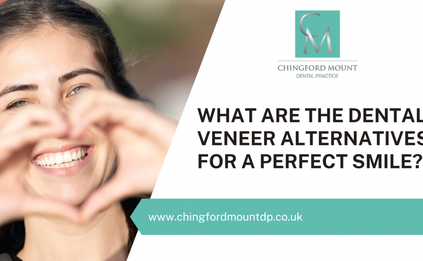 What Are The Dental Veneer Alternatives For A Perfect Smile?