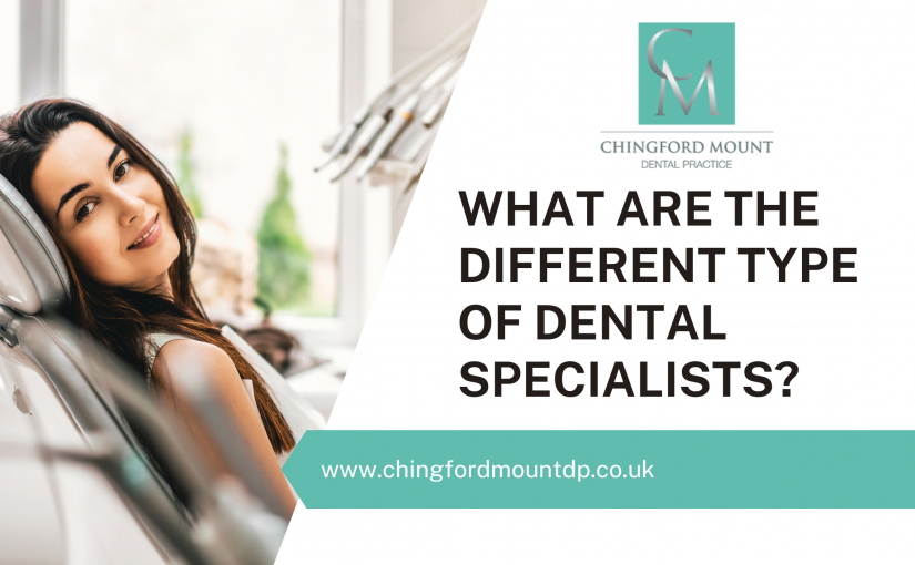 What Are The Different Type Of Dental Specialists?